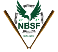 nigeriabsf.com